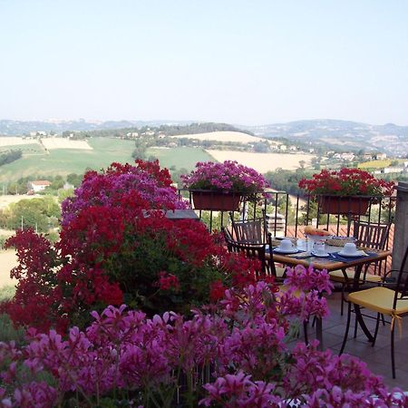 Bed and Breakfast La Terrazza Fio...Rita à Ripa Extérieur photo